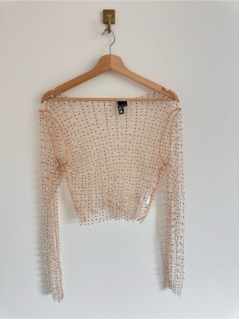 Windsor Nude Sheer Crystal-Embellished Long-Sleeve Crop Top